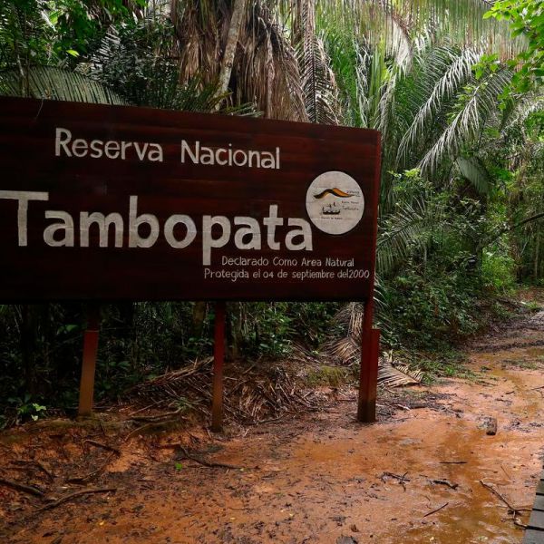 Tours en Tambopata  desde Paraguay
