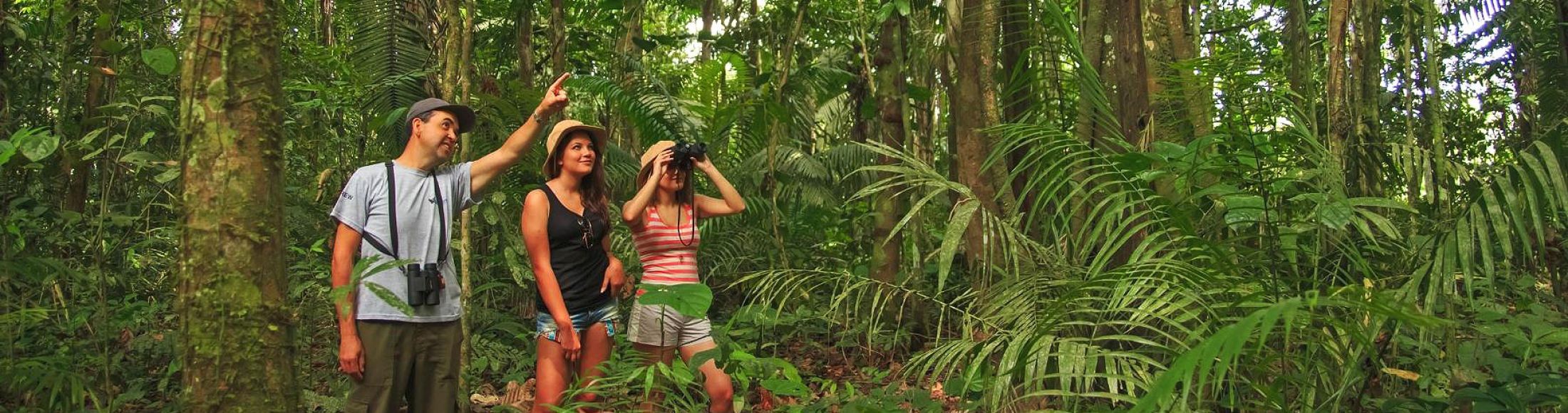Reserva Tambopata, Puerto Maldonado  desde Paraguay