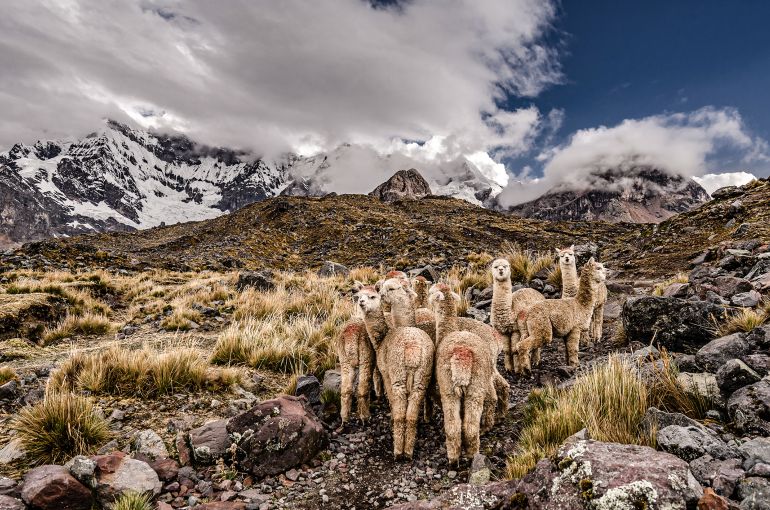 Machu Picchu desde Paraguay