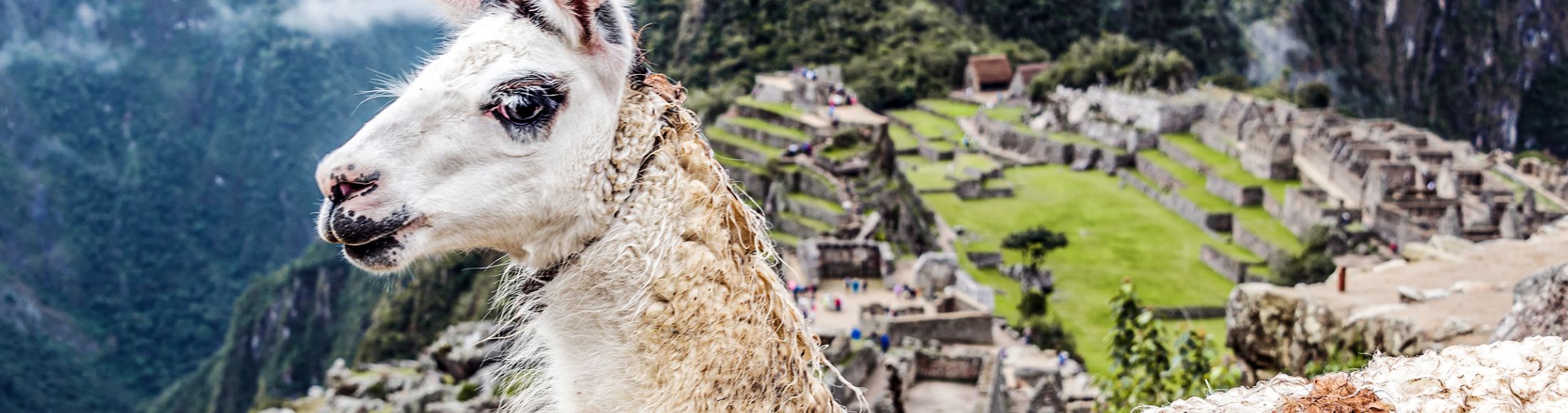 Machu Picchu 8D7N Viajero (Full Cultural)  desde Paraguay