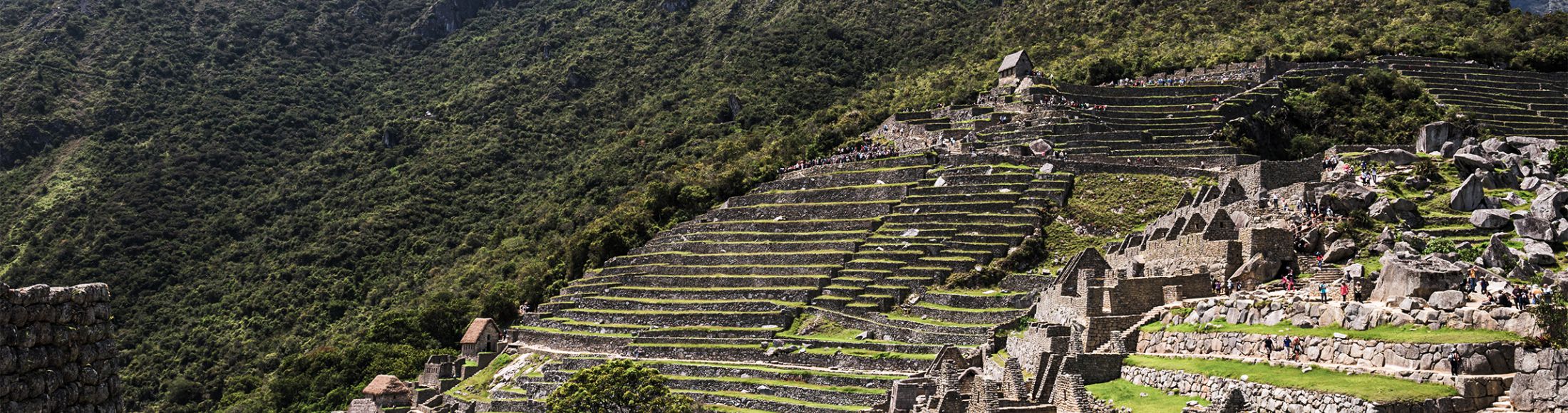 Machu Picchu 8D7N Viajero (Aventura Clásica)  desde Paraguay