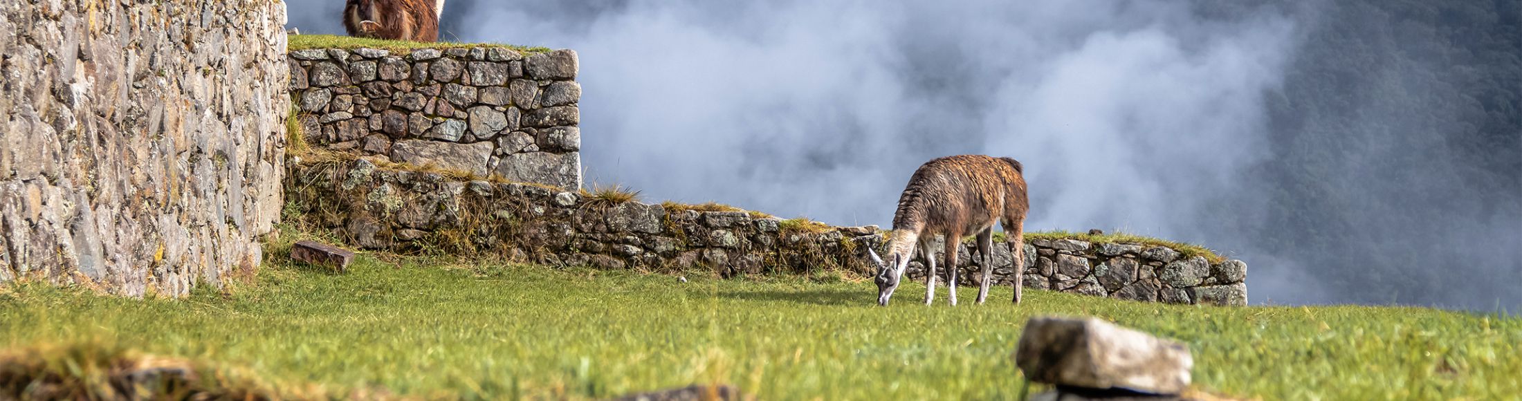 Machu Picchu 4D3N Viajero (Cultural Aventura)  desde Paraguay